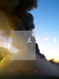王珉严重违法案件 王珉严重违法案件