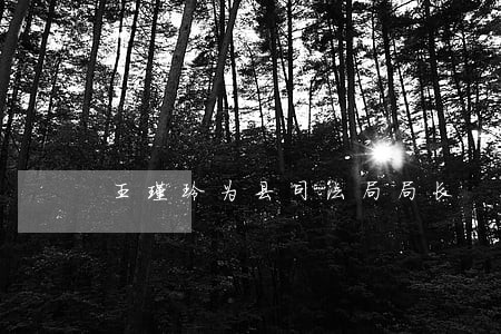 王瑾玲为县司法局局长