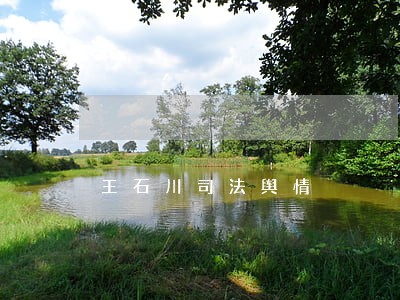 王石川司法舆情 王石川司法舆情