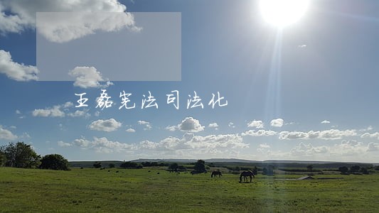 王磊宪法司法化 王磊宪法司法化