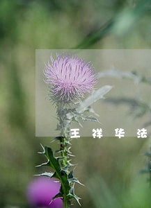 王祥华法律工作 王祥华法律工作