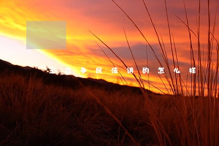王立争民法讲的怎么样 王立争民法讲的怎么样
