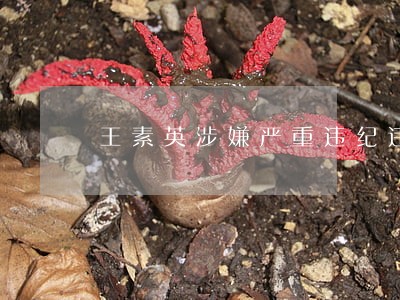 王素英涉嫌严重违纪违法 王素英涉嫌严重违纪违法