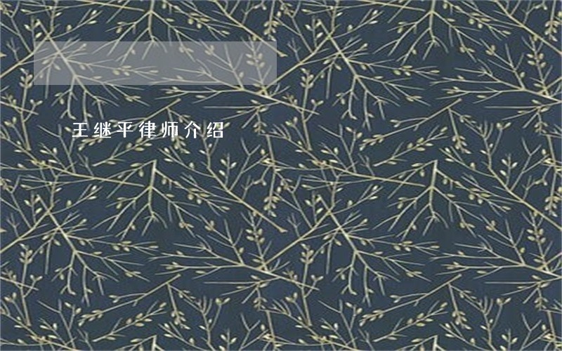 王继平律师介绍