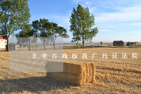王老吉商标战广药获法院支持 王老吉商标战广药获法院支持