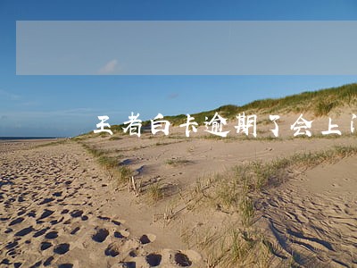 王者白卡逾期了会上门么 王者白卡逾期了会上门么