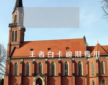 王者白卡逾期费用 王者白卡逾期费用