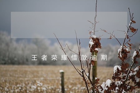 王者荣耀借款逾期 王者荣耀借款逾期