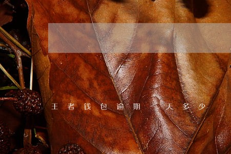 王者钱包逾期一天多少 王者钱包逾期一天多少