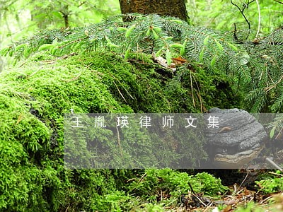 王胤瑛律师文集 王胤瑛律师文集