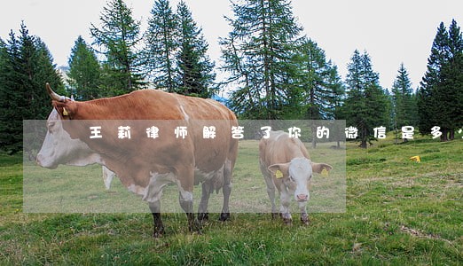 王莉律师解答了你的微信是多少 王莉律师解答了你的微信是多少