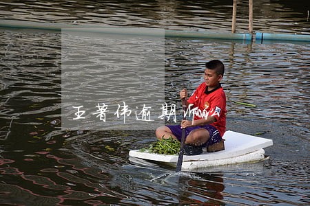 王著伟逾期诉讼 王著伟逾期诉讼