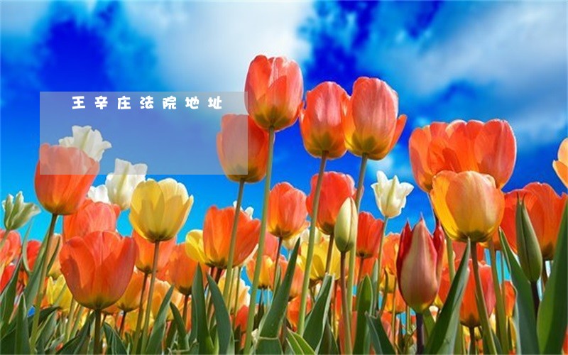 王辛庄法院地址 王辛庄法院地址