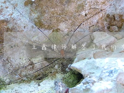 王鑫律师解答了我们有3个小孩 王鑫律师解答了我们有3个小孩