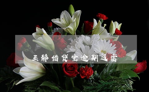 王静借贷宝逾期迅雷 王静借贷宝逾期迅雷