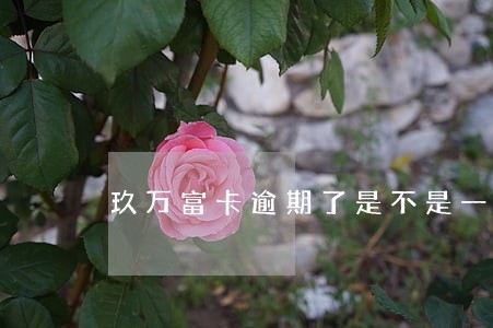 玖万富卡逾期了是不是一样失信了 玖万富卡逾期了是不是一样失信了