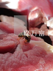 玖万富卡逾期会投诉吗 玖万富卡逾期会投诉吗