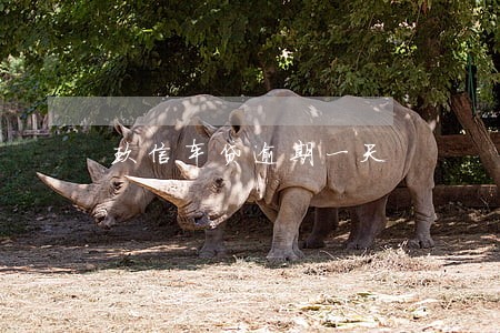 玖信车贷逾期一天 玖信车贷逾期一天