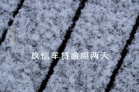 玖信车贷逾期两天 玖信车贷逾期两天