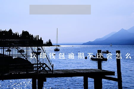 玖印钱包逾期不还会怎么样