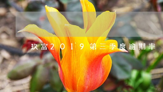 玖富2019第三季度逾期率