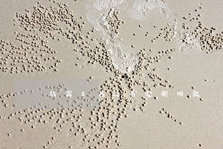 玖富8月没有逾期回款 玖富8月没有逾期回款
