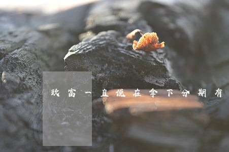 玖富一直说在拿下分期有逾期 玖富一直说在拿下分期有逾期