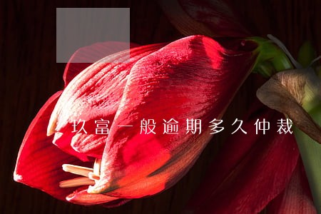 玖富一般逾期多久仲裁 玖富一般逾期多久仲裁