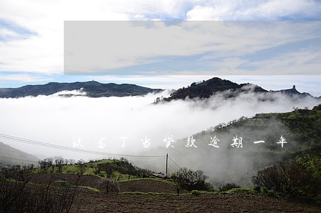 玖富丁当贷款逾期一年