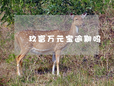 玖富万元宝逾期吗 玖富万元宝逾期吗
