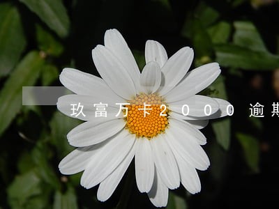 玖富万卡2000逾期