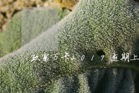 玖富万卡2019逾期上征信吗