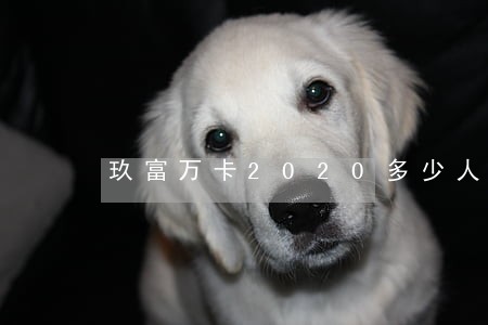 玖富万卡2020多少人逾期 玖富万卡2020多少人逾期