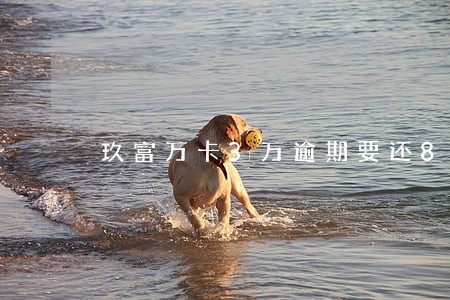玖富万卡3万逾期要还8万 玖富万卡3万逾期要还8万