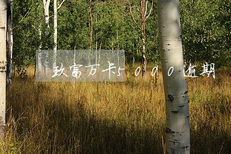 玖富万卡5000逾期 玖富万卡5000逾期