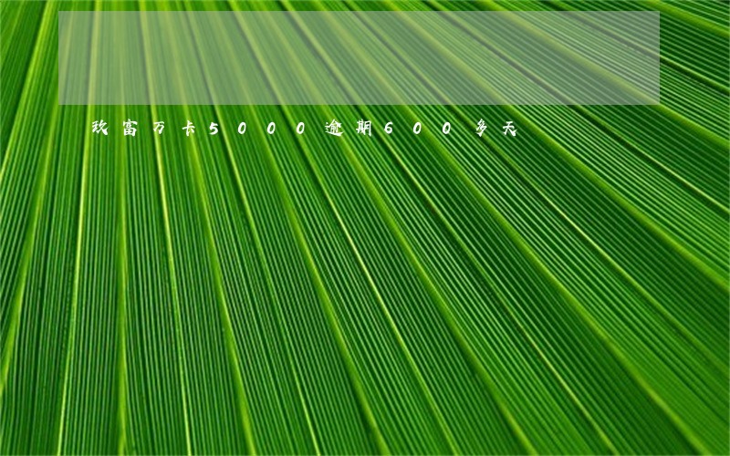 玖富万卡5000逾期600多天 玖富万卡5000逾期600多天