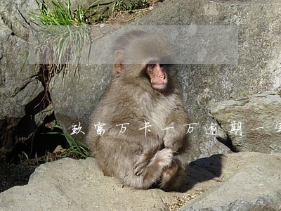 玖富万卡一万逾期一年罚息 玖富万卡一万逾期一年罚息