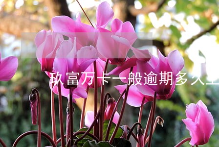 玖富万卡一般逾期多久上征信吗 玖富万卡一般逾期多久上征信吗