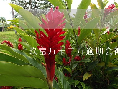 玖富万卡三万逾期会被抓吗