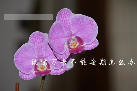 玖富万卡不能逾期怎么办 玖富万卡不能逾期怎么办