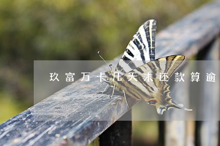 玖富万卡几天未还款算逾期 玖富万卡几天未还款算逾期