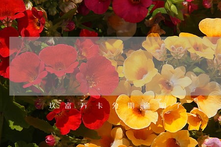 玖富万卡分期逾期了 玖富万卡分期逾期了