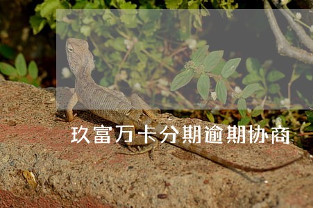 玖富万卡分期逾期协商 玖富万卡分期逾期协商