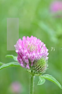 玖富万卡分期逾期案