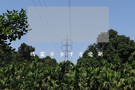 玖富万卡十万逾期 玖富万卡十万逾期