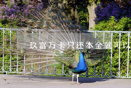 玖富万卡只还本金就可以吗