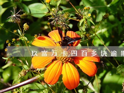 玖富万卡四百多块逾期两天 玖富万卡四百多块逾期两天