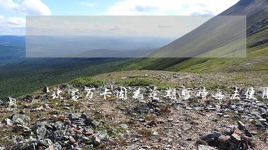 玖富万卡因为逾期暂时无法使用 玖富万卡因为逾期暂时无法使用