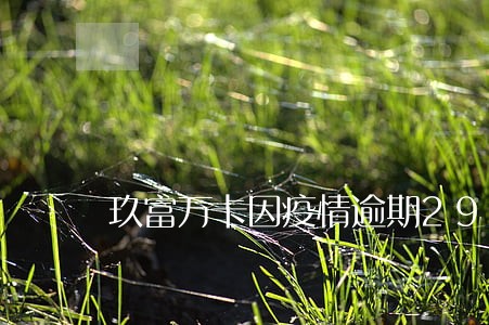 玖富万卡因疫情逾期29天会怎样 玖富万卡因疫情逾期29天会怎样