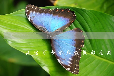 玖富万卡客服能撤销逾期记录吗 玖富万卡客服能撤销逾期记录吗
